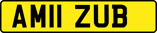 AM11ZUB