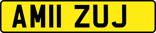 AM11ZUJ
