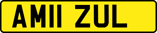 AM11ZUL