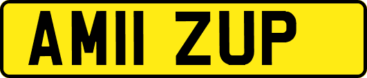 AM11ZUP