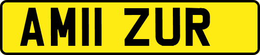 AM11ZUR