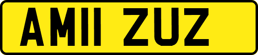 AM11ZUZ