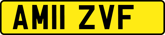 AM11ZVF
