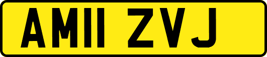 AM11ZVJ