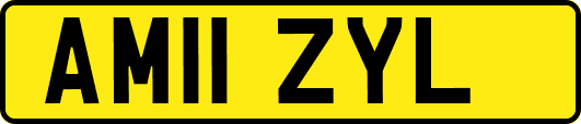 AM11ZYL