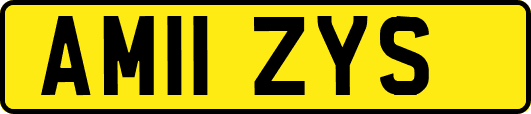 AM11ZYS