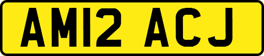 AM12ACJ