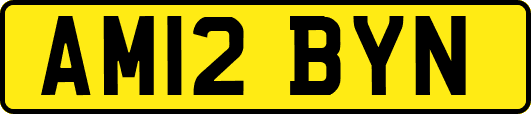 AM12BYN