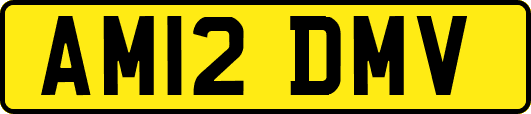 AM12DMV