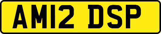 AM12DSP