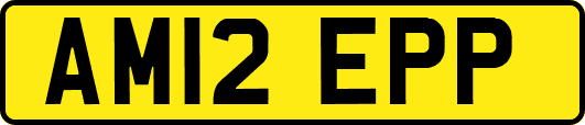 AM12EPP