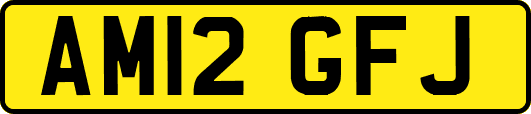 AM12GFJ
