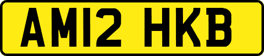 AM12HKB