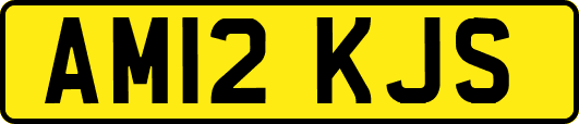 AM12KJS
