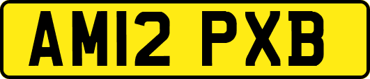 AM12PXB
