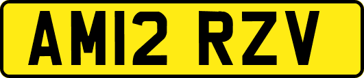 AM12RZV