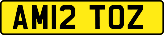 AM12TOZ