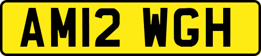 AM12WGH