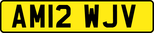 AM12WJV