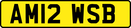 AM12WSB