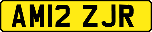 AM12ZJR