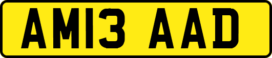 AM13AAD