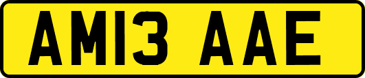 AM13AAE