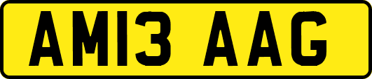 AM13AAG