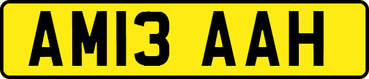 AM13AAH