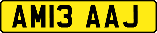 AM13AAJ