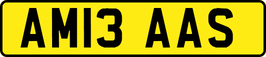 AM13AAS