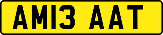 AM13AAT