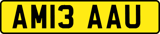 AM13AAU