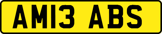 AM13ABS