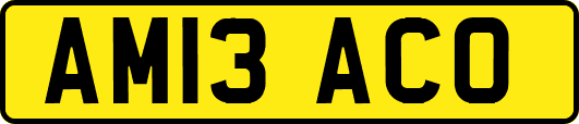 AM13ACO