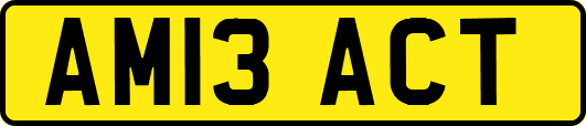 AM13ACT