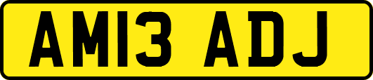 AM13ADJ