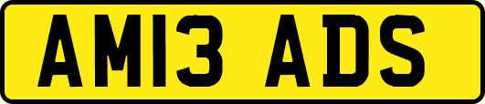 AM13ADS