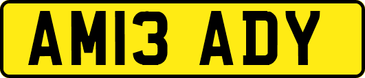 AM13ADY
