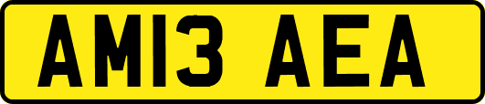 AM13AEA