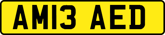 AM13AED