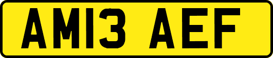 AM13AEF