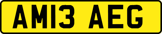 AM13AEG