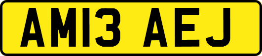 AM13AEJ