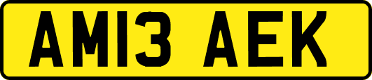 AM13AEK