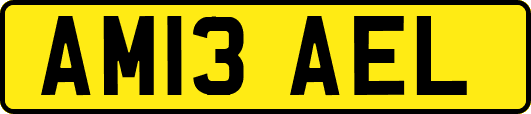 AM13AEL