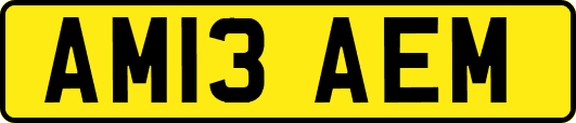 AM13AEM