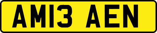 AM13AEN
