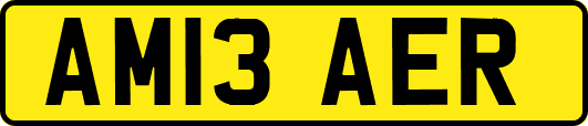 AM13AER