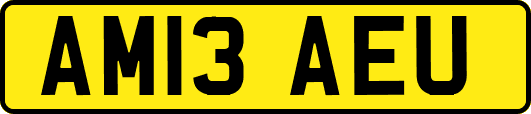 AM13AEU